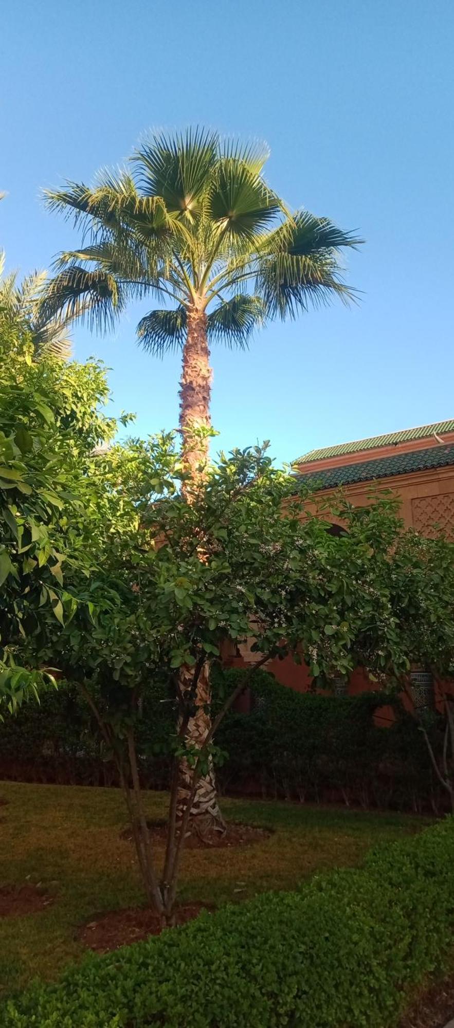 Riad Nour Resorts-Riad Nour Travel Marrakesh Exteriör bild