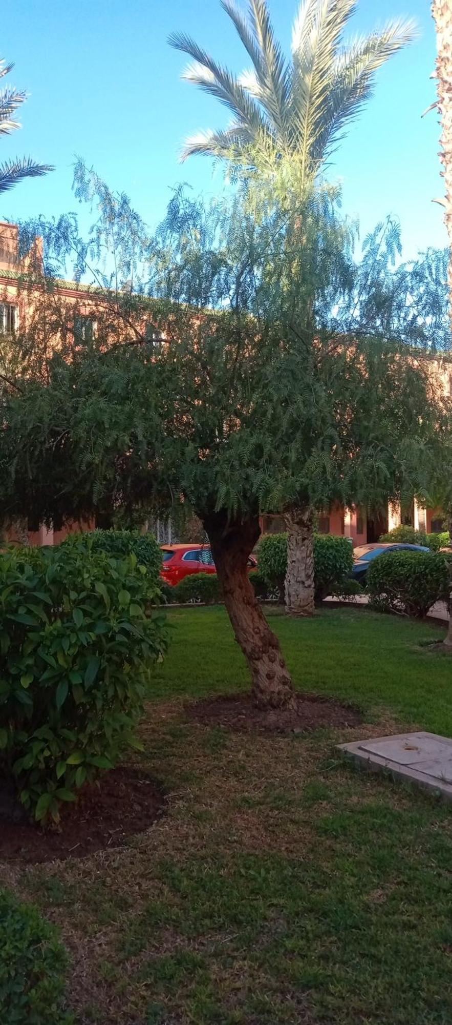Riad Nour Resorts-Riad Nour Travel Marrakesh Exteriör bild